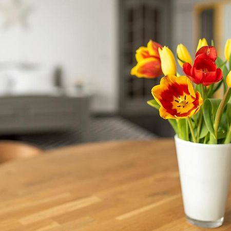 Spacious Ultracentral Apartment 클루지나포카 외부 사진